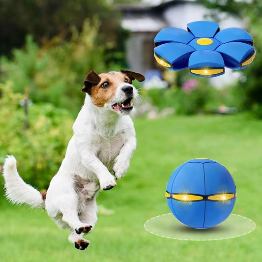 Melo™ Pet Toy Flying Saucer Ball | Doggy Disc Ball | 2024 New Design For Dog Outdoor Games