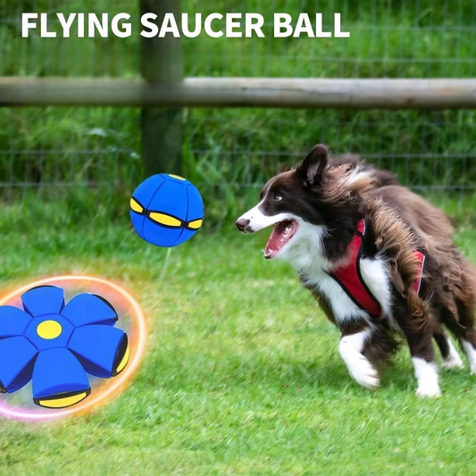 Melo™ Pet Toy Flying Saucer Ball | Doggy Disc Ball | 2024 New Design For Dog Outdoor Games